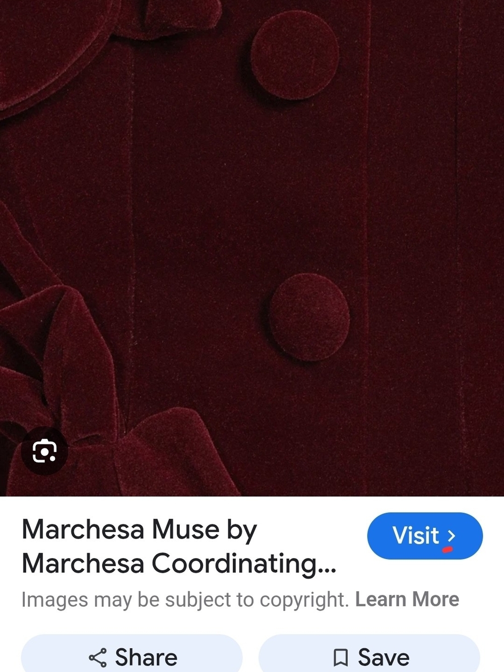 Muse by Marchesa Laurel Velvet Applique Sleeveless Button Up Coordinating Vest - Picture 7 of 11